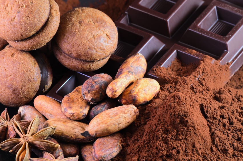 Image de divers produits tournés autour du Cacao avec des produits de qualité. 